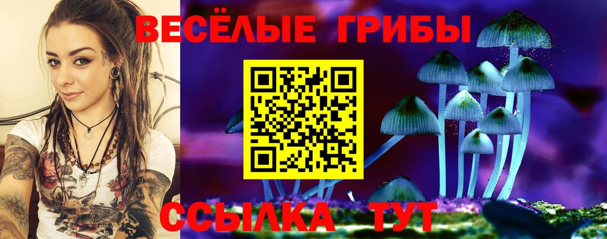 Гатчина  Галлюциногенные грибы GOLDEN TEACHER  Псилоцибиновые грибы Psilocybine cubensis  Вход с VPN 
