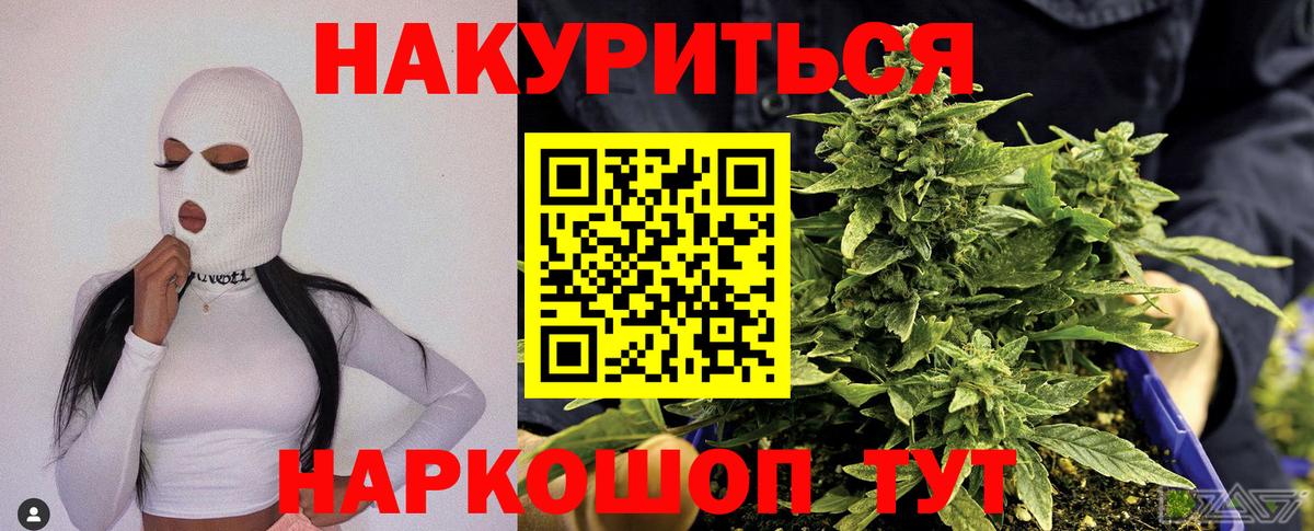 Гатчина  Каннабис конопля  Вход с VPN  МАРИХУАНА план  МАРИХУАНА индика 